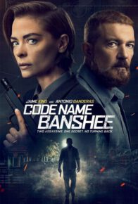 اسم رمز بانشی ،کد نیم بنشی Code Name Banshee 2022