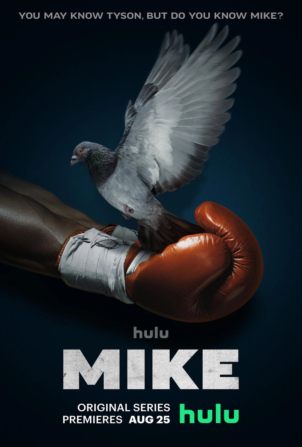 دانلود سریال مایک Mike 2022