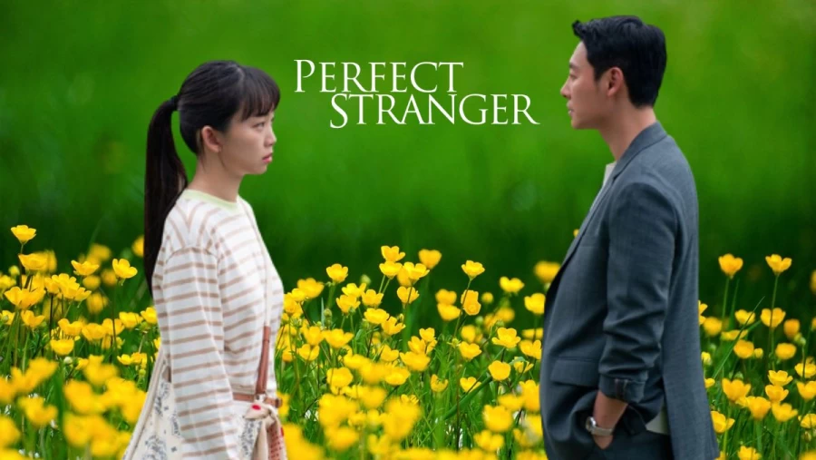 سریال کره ای اتفاقی دیدمت My Perfect Stranger 2023