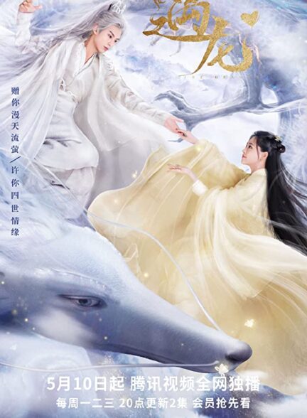 دانلود سریال چینی خانم اژدها Miss the Dragon 2021