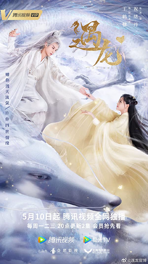 دانلود سریال چینی خانم اژدها Miss the Dragon 2021