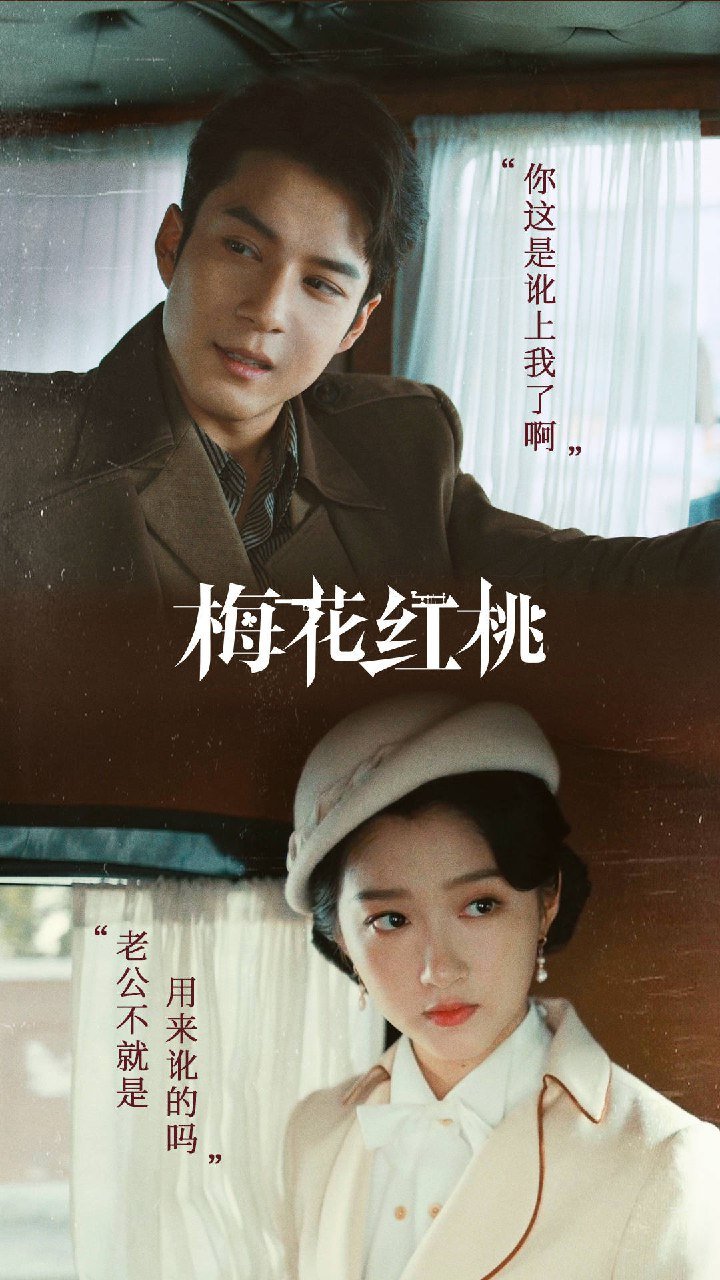 دانلود سریال چینی آقا و خانم چن Mr. & Mrs. Chen 2023
